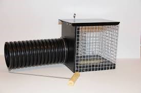 syningfella syningfella