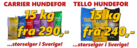 hundefor hundefor
