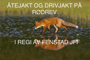 revejakt revejakt