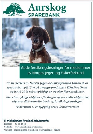 eikaforsikring eikaforsikring