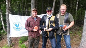 IMG_2933 IMG_2933