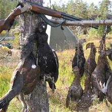 jaktrapport jaktrapport